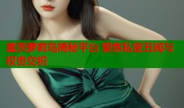 盖茨萝莉岛揭秘平台 聚焦私密丑闻与权贵交织