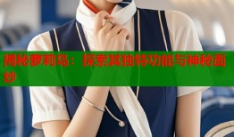 揭秘萝莉岛：探索其独特功能与神秘面纱