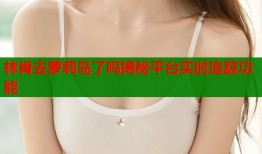 林肯去萝莉岛了吗揭秘平台实时追踪功能