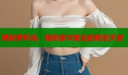 揭秘萝莉岛：隐秘豪华聚会的秘密天堂