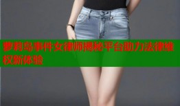 萝莉岛事件女律师揭秘平台助力法律维权新体验