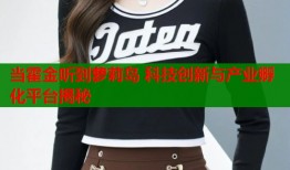 当霍金听到萝莉岛 科技创新与产业孵化平台揭秘