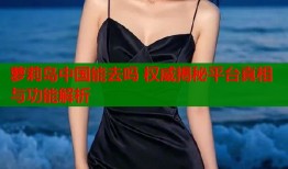 萝莉岛中国能去吗 权威揭秘平台真相与功能解析