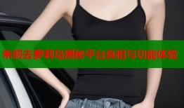 朱莉去萝莉岛揭秘平台真相与功能体验