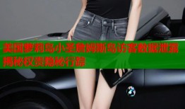 美国萝莉岛小圣詹姆斯岛访客数据泄露揭秘权贵隐秘行踪