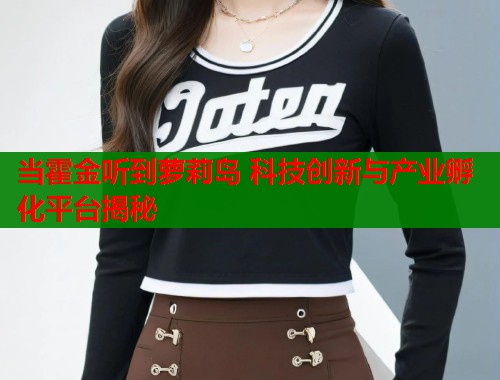 当霍金听到萝莉岛 科技创新与产业孵化平台揭秘 当霍金听到萝莉岛 科技创新与产业孵化平台揭秘