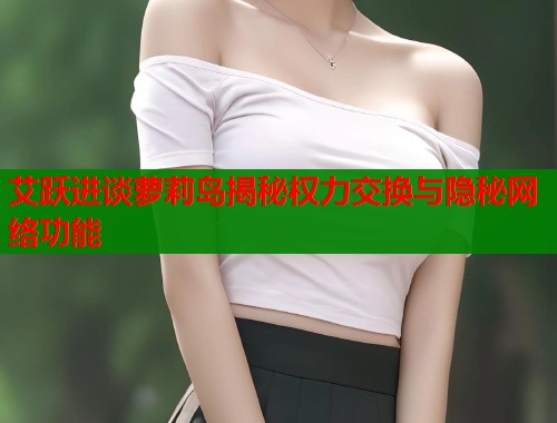 艾跃进谈萝莉岛揭秘权力交换与隐秘网络功能 艾跃进谈萝莉岛揭秘权力交换与隐秘网络功能