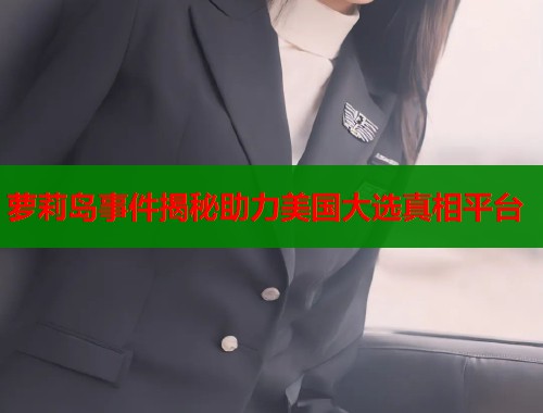 萝莉岛事件揭秘助力美国大选真相平台 萝莉岛事件揭秘助力美国大选真相平台