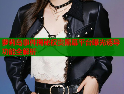 萝莉岛事件揭秘权贵黑幕平台曝光诱导功能全解析