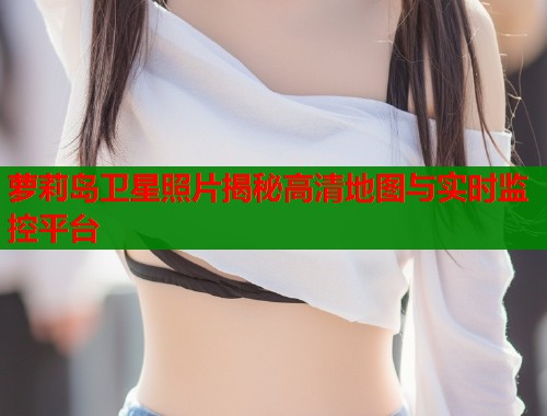 萝莉岛卫星照片揭秘高清地图与实时监控平台