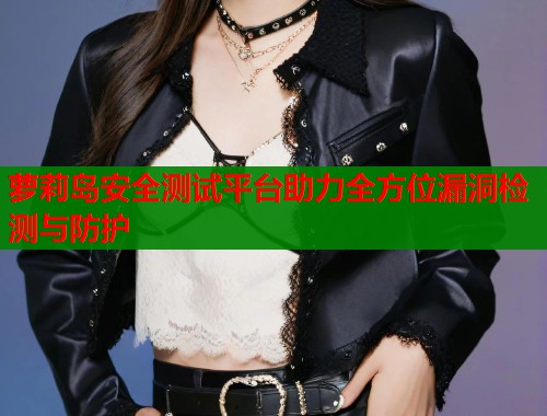 萝莉岛安全测试平台助力全方位漏洞检测与防护